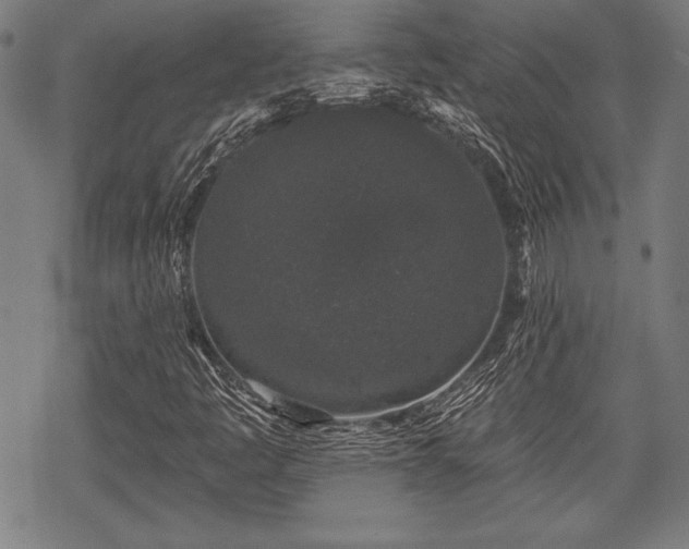 X0000069381445200605150905