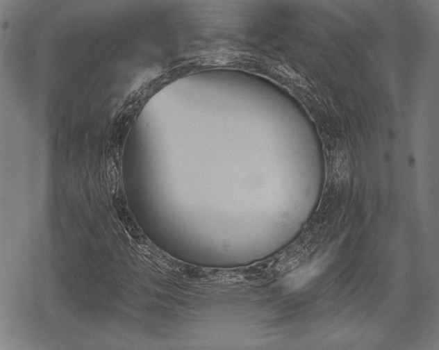 X0000069381446200605150905
