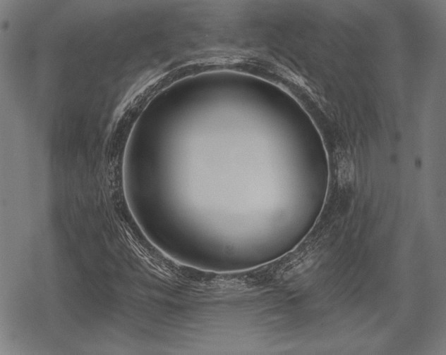 X0000069381448200605150905