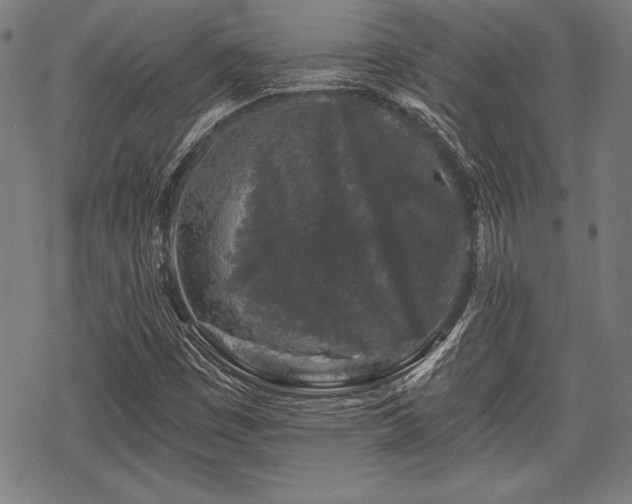 X0000069381449200605150905