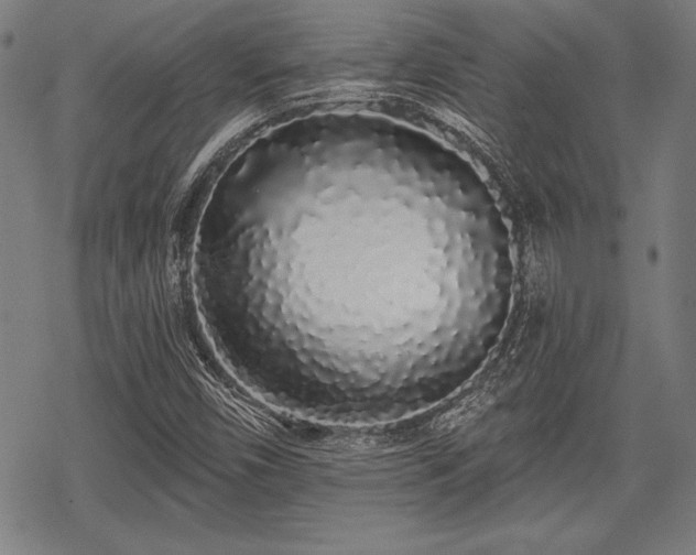 X0000069381450200605150905