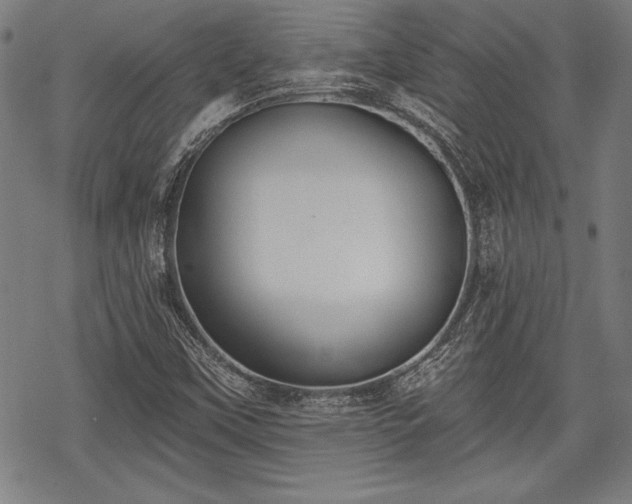X0000069381451200605150905