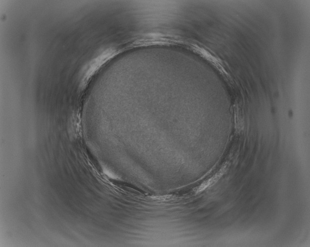 X0000069381453200605150905