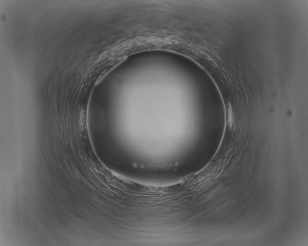 X0000069381492200605150904