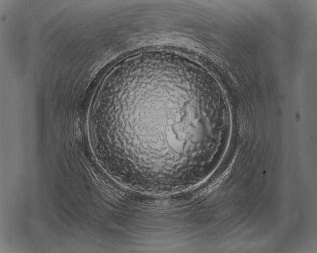 X0000069381497200605150904