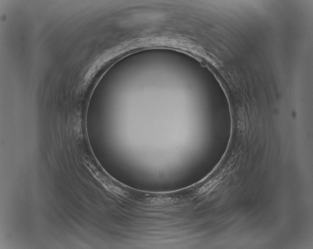 X0000069381499200605150904