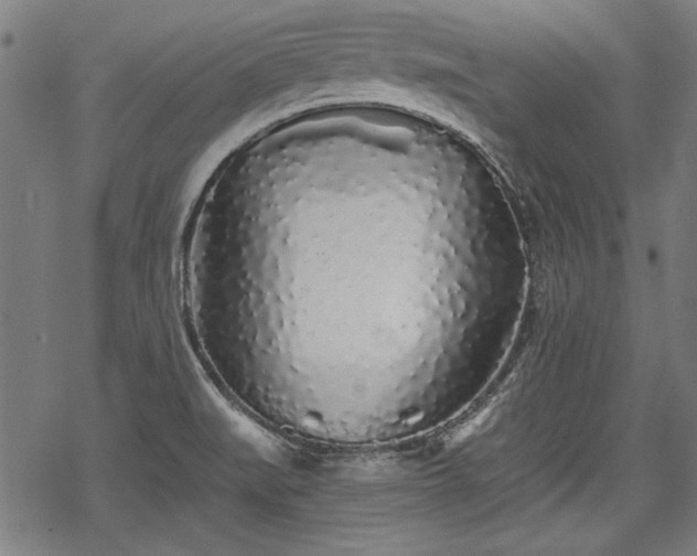 X0000069381519200605150904