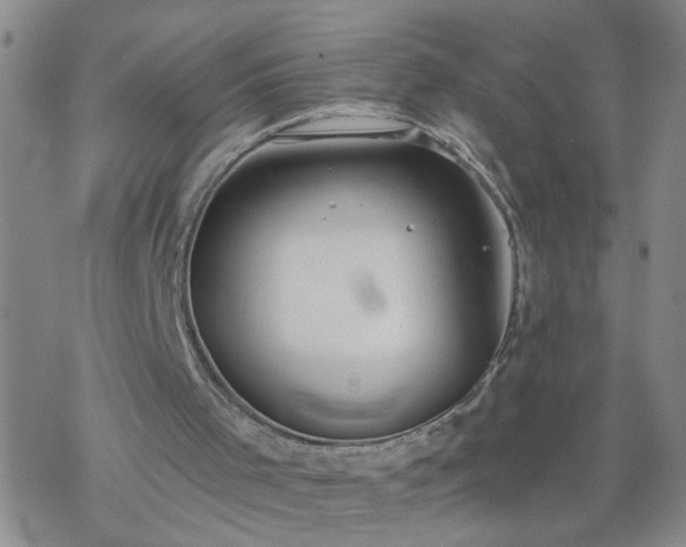 X0000069380001200605192200