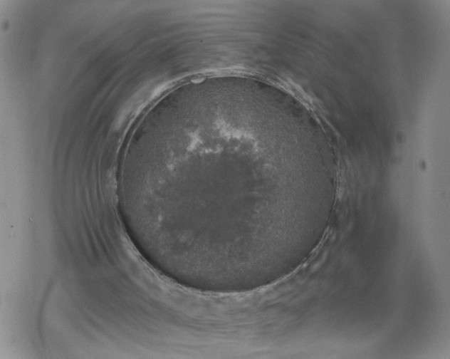 X0000069380002200605192200