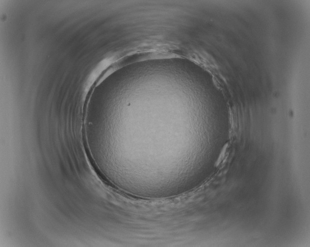 X0000069380003200605192200