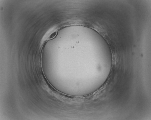 X0000069380004200605192200