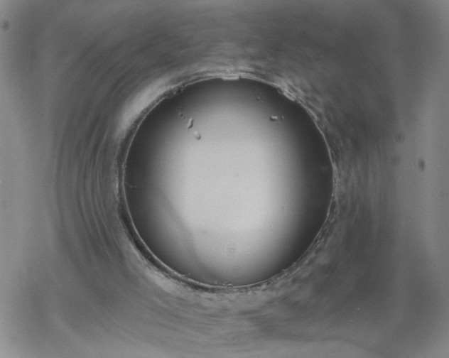 X0000069380005200605192200