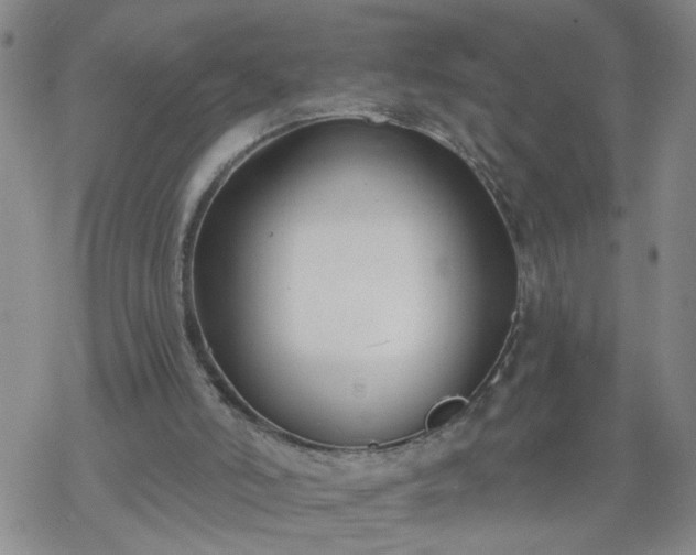 X0000069380006200605192200