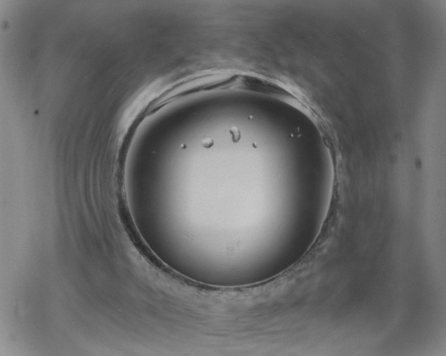 X0000069380007200605192200