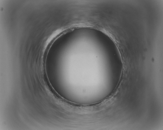 X0000069380008200605192200