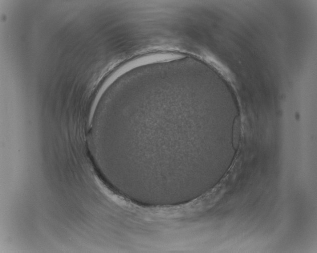 X0000069380009200605192200