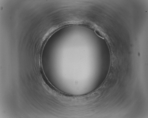 X0000069380011200605192200