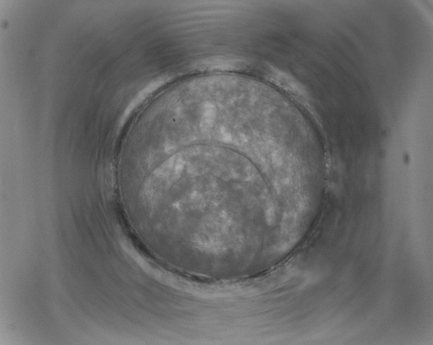 X0000069380012200605192200