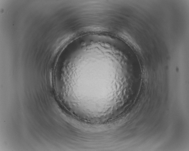 X0000069380014200605192200