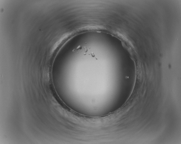 X0000069380015200605192200