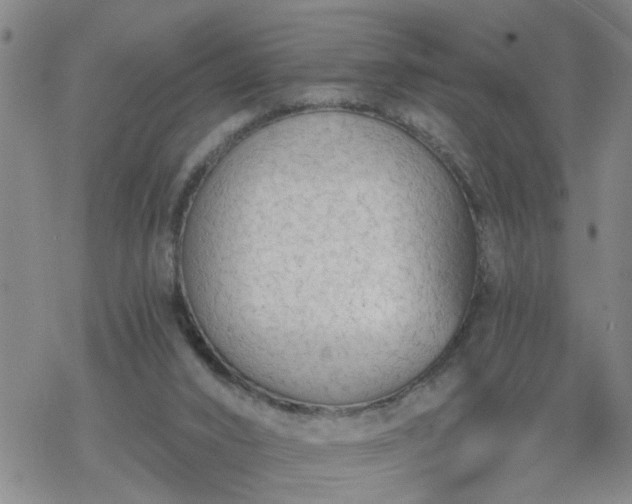 X0000069380016200605192200