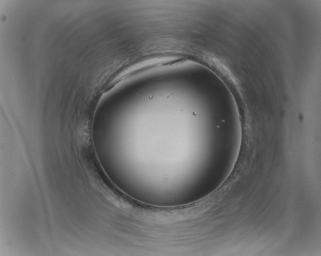 X0000069380017200605192200