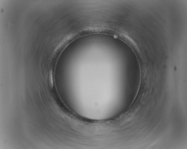 X0000069380020200605192200