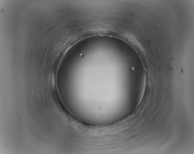 X0000069380021200605192200