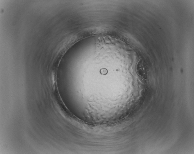 X0000069380022200605192200