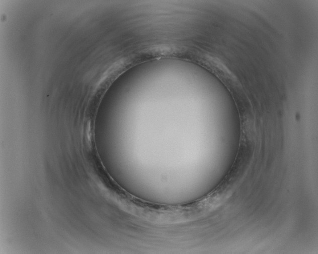 X0000069380024200605192200