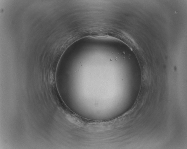 X0000069380025200605192200