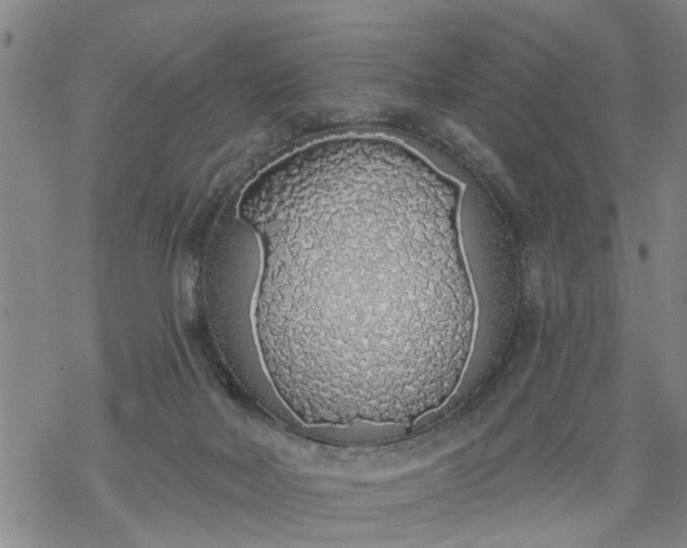 X0000069380026200605192200