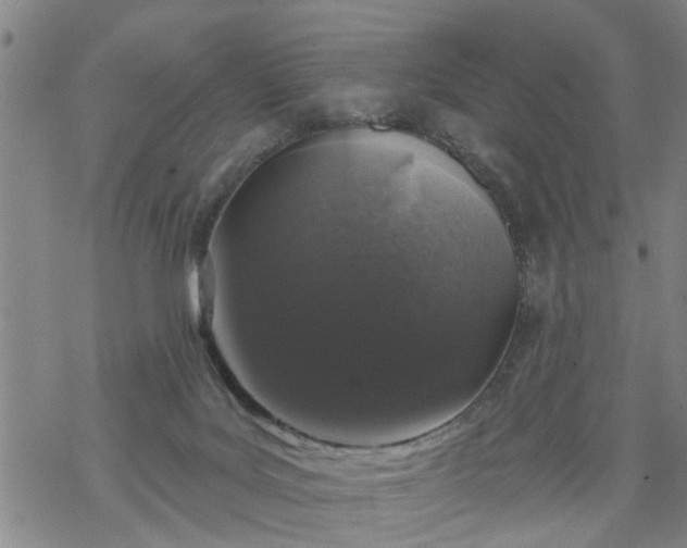 X0000069380027200605192200