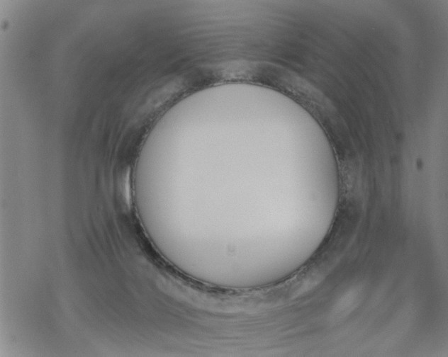 X0000069380028200605192200