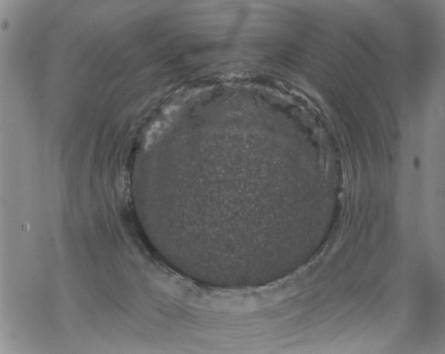 X0000069380029200605192200