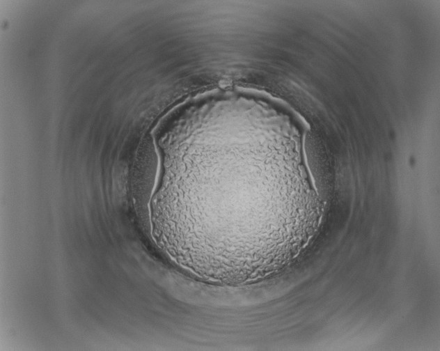 X0000069380030200605192200