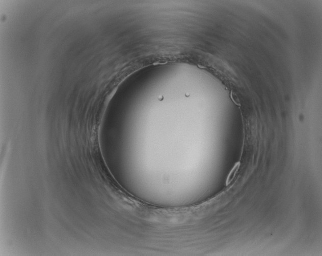 X0000069380033200605192200