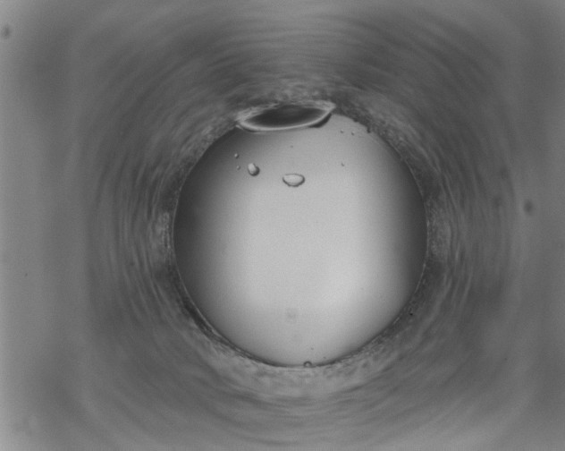 X0000069380034200605192200