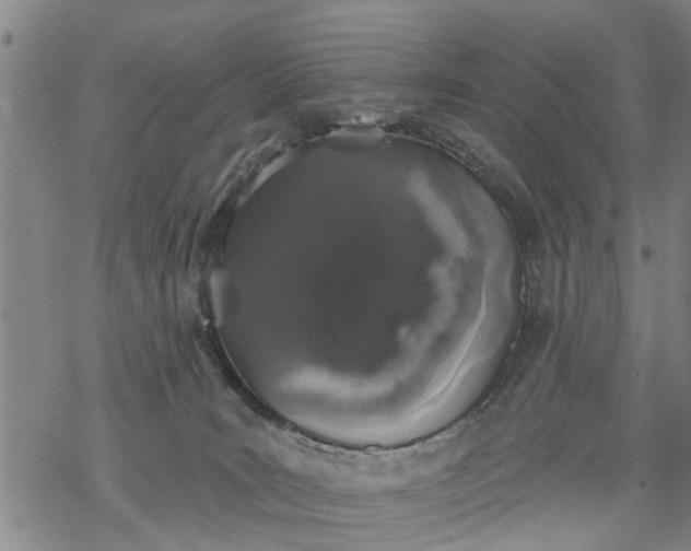 X0000069380035200605192200