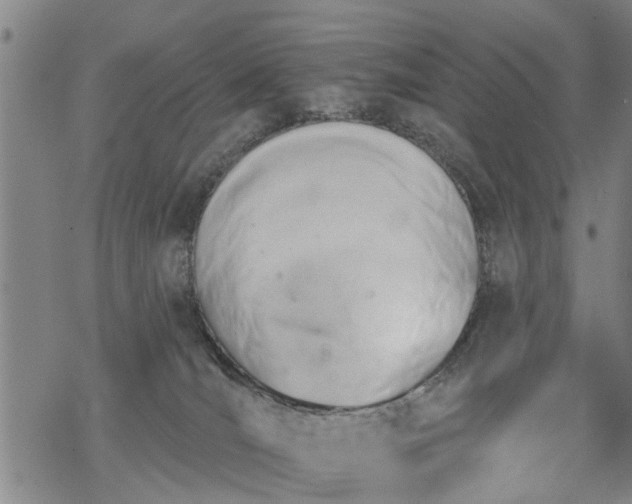 X0000069380036200605192200