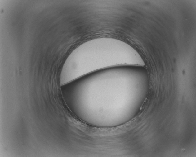 X0000069380037200605192200