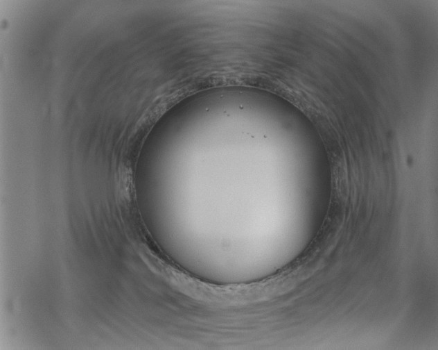 X0000069380038200605192200