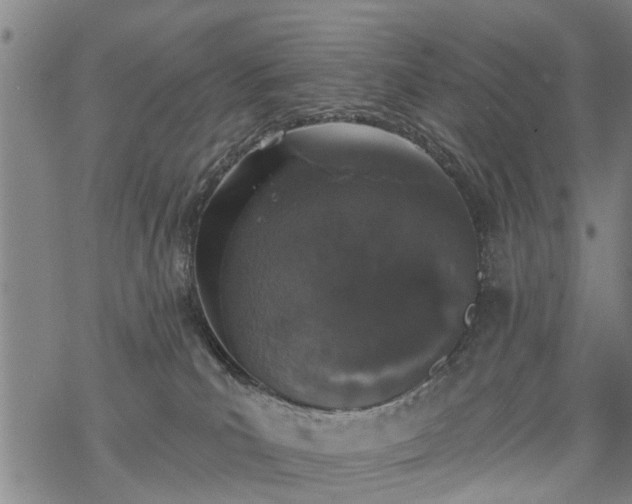 X0000069380039200605192200