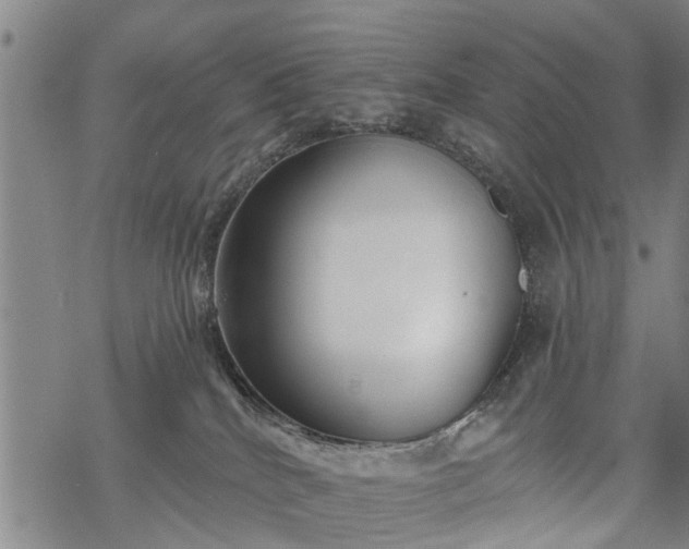 X0000069380040200605192200