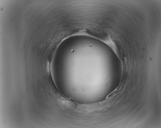 X0000069380041200605192200