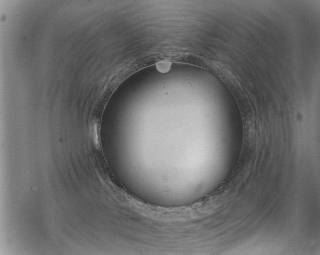 X0000069380042200605192200