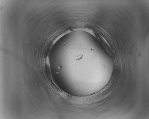 X0000069380045200605192200