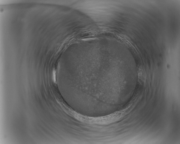 X0000069380046200605192200