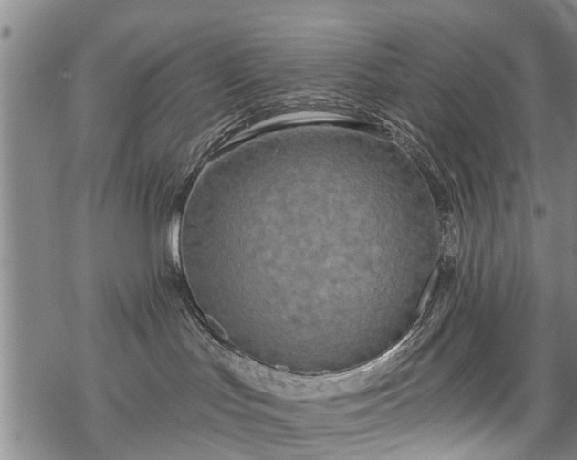 X0000069380047200605192200