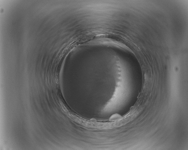 X0000069380048200605192200